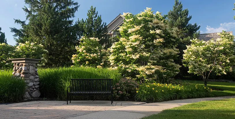 Spring Clean up in the Landscape